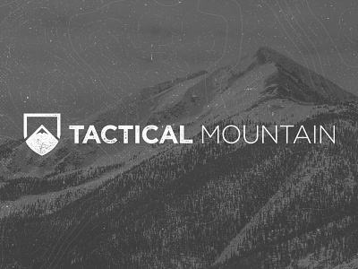 Tactical Mountain | Logo Design + Branding adventure branding colorado graphic design logo logo design minimal mountain survival tactical