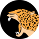 Jaguar_Team