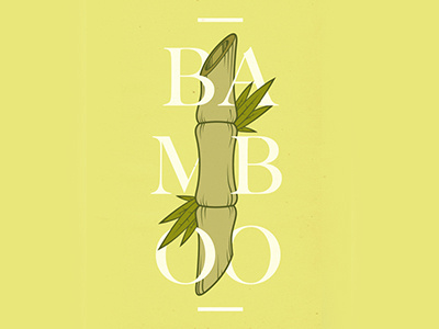 Bamboo bamboo barcelona green ibiza ilustration melbourne oscar torres tryme typography