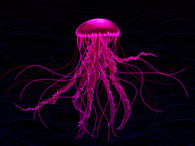 Pink Jellyfish