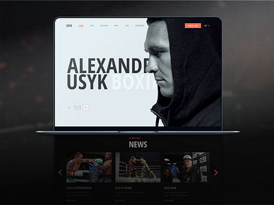 Alexander Usyk web-site