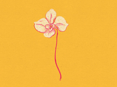 Daily Doodle #41 dailies doodle drawing floral flower illustration orchid plant