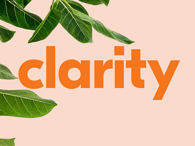 Clarity Recruiting brand branding design logo visual identity webdesign website