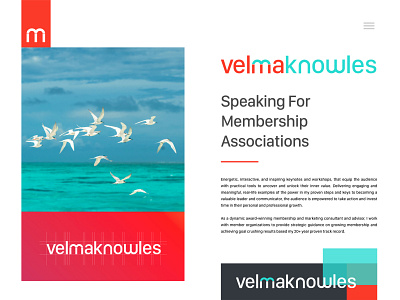 Velma Knowles Brand Identity Design - Personal Branding bird brand birds birds branding brand identity branding branding designer design graphic designer identity design illustration knowles personal brand personal branding personal project publication publicspeaker speaker vector velma