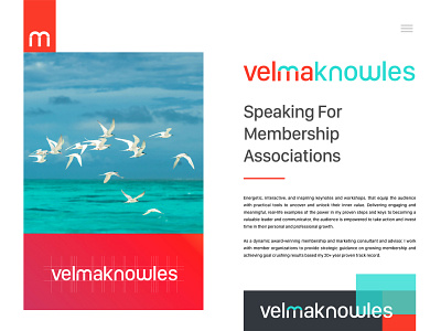 Velma Knowles Brand Identity Design - Personal Branding