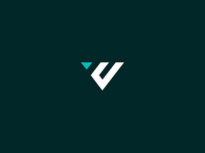 WonderVisuals | Dribbble