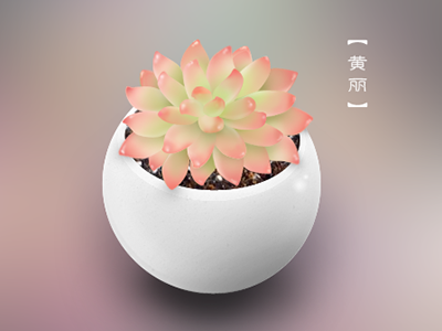 Huangli exercise icon plant