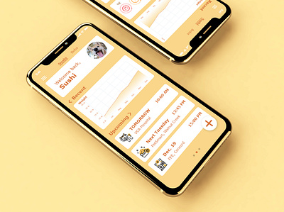 Pawlife dashboard app design uidesign