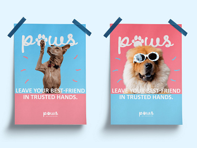 Paws Petsitting - Brand identity brand identity branding logo poster design