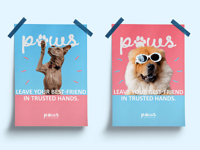 Paws Petsitting - Brand identity