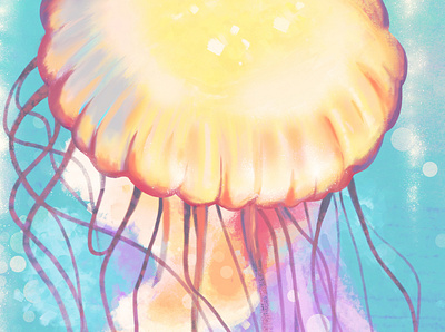 Jellyfish illustration