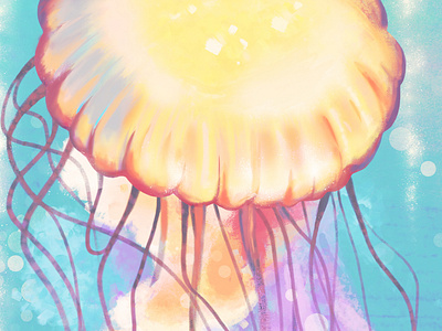 Jellyfish