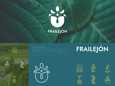 Frailejón Branding branding design logo ui