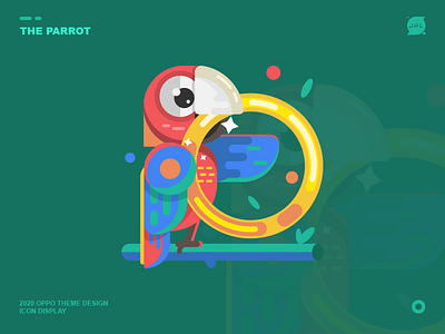 The parrot app art design icon illustration illustrator ui