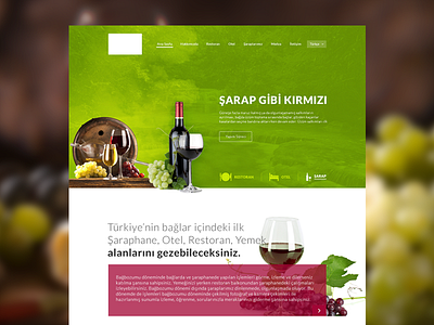 Wine web design