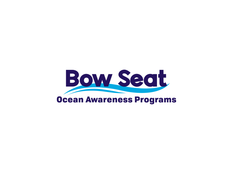 Bow Seat after effects animation awareness branding conservation flat illustration logo minimal motion ocean type water