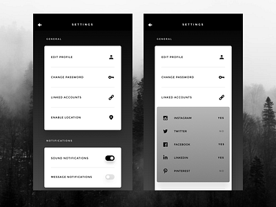 SETTINGS app dailyui design ui