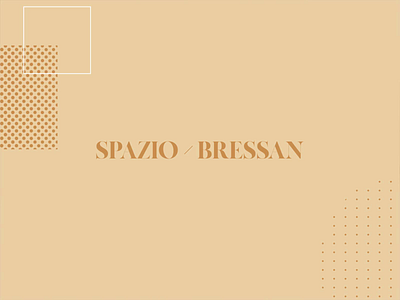 Spazio Bressan Brand Identity architecture brand identity branding interior design logo logo design typography vector
