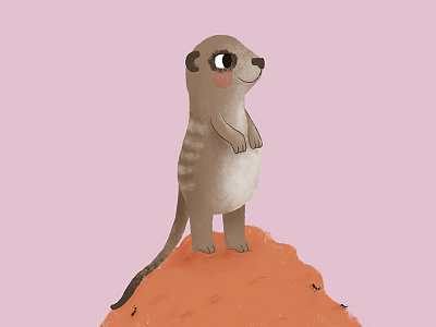 Meerkat