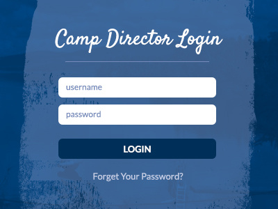 Camp Director Login blue camp form login salesforce texture wordpress