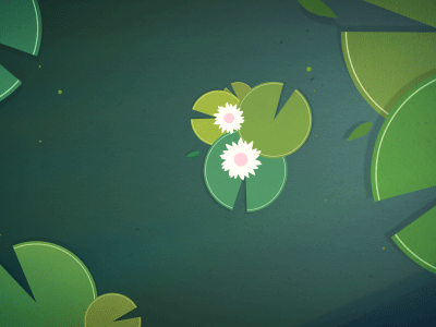 Water Lily 2d 3d after effects animation cinema 4d fish gif joern westhoff motion graphics pond sandpiper water lily