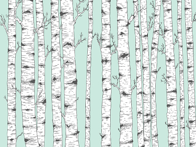 Birch Tree Vector drawing graphic design tree vector