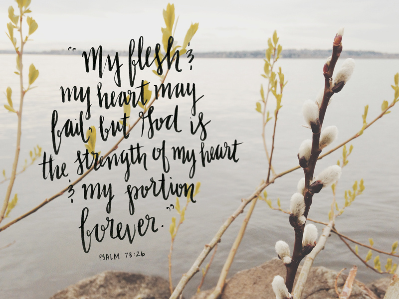 Psalm 73 scripture handwritten lettering photography typography design