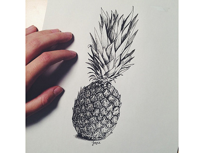 Pineapple drawing ink pineapple sketch