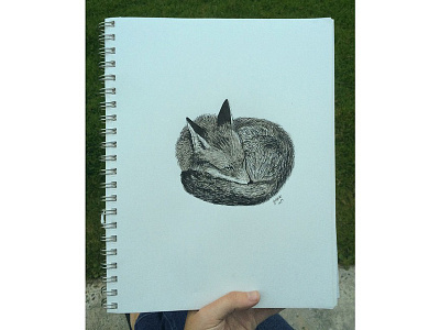 Sleepy Fox drawing fox ink sketch