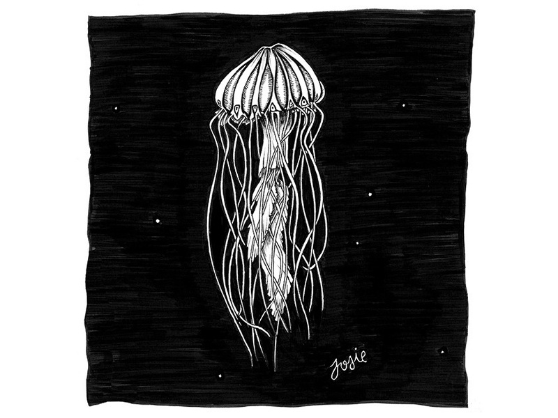 Life of a Jellyfish ink sketch jellyfish nature illustration design