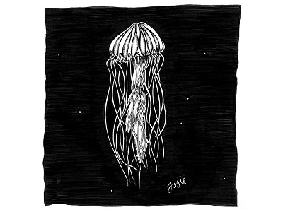 Life of a Jellyfish design illustration ink jellyfish nature sketch