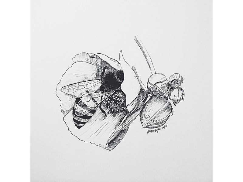 Honey Bee bee animal drawing ink flower sketch design art