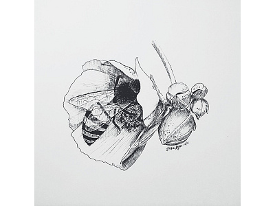 Honey Bee animal art bee design drawing flower ink sketch