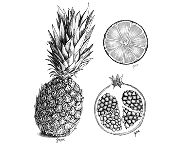 Fruit craze design fruit illustrator ink inktober orange pineapple pomegranate sketch
