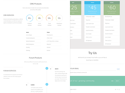 Agency Design clean infographics minimal typography ui user experience user interface ux wordpress