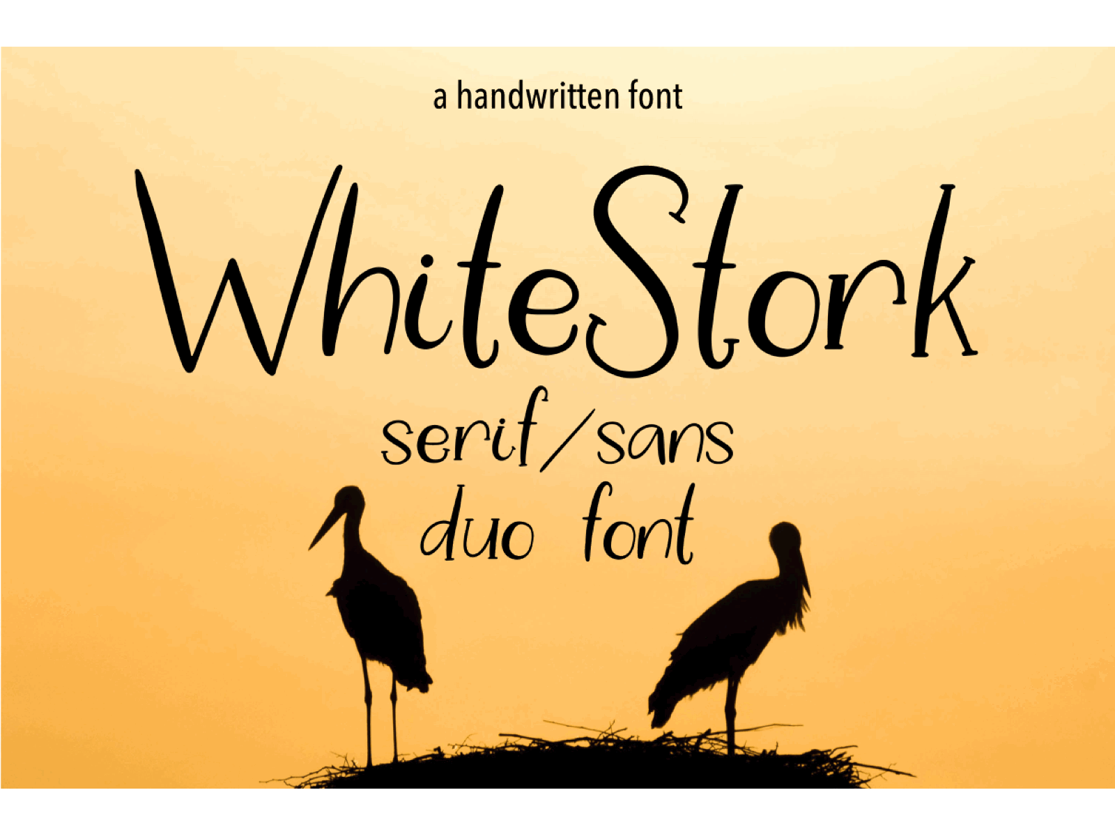 White Stork. A Handwritten Font calligraphy font handlettering handwritten otf script typography