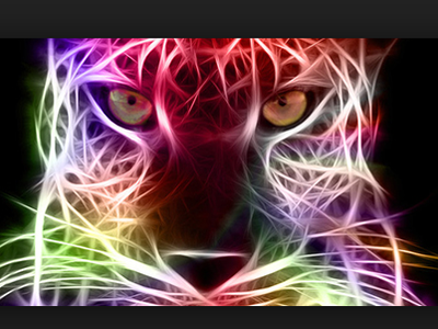 face dirtbike car hot cool car kittens cool eyes day cute animal stars space nature logo galaxy design cosmic cold blue black