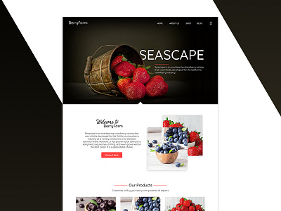Fruits selling Concept foodwebsite fruit website landingpage web webdesign