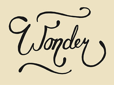 Wonder handlettering illustration layout type typography