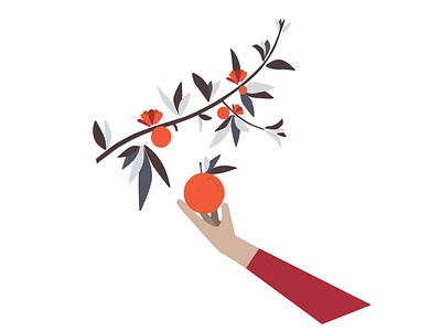 Orange branch in bloom 🍊 app art calm design drawing figma flat icon illustration illustration art ui