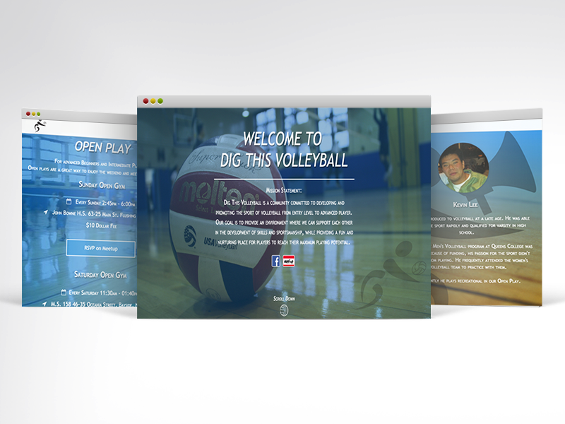 Digthisvbwebsite dribbble
