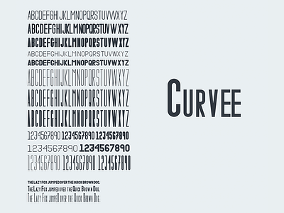 Curvee font typography