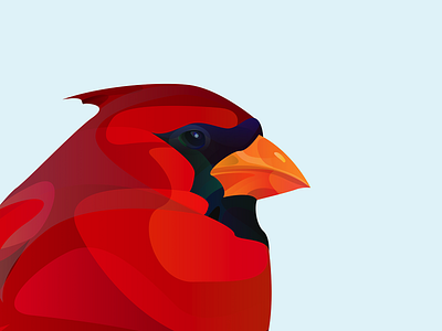 Cardinal design illustration