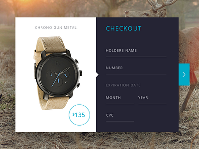 Daily UI :: 002 Day 002 Credit Card Checkout