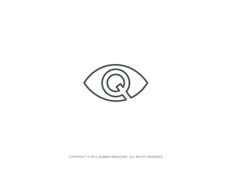 eyeq 3.3 download