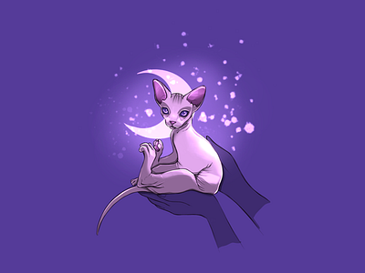 a moon cat 🌙 art cat character color design digital moon procreate purple space