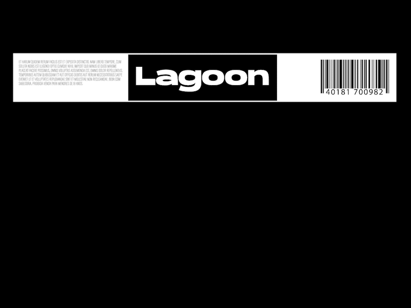 Lagoon Beer - Labels Process graphic design logo motion graphics pack packaging