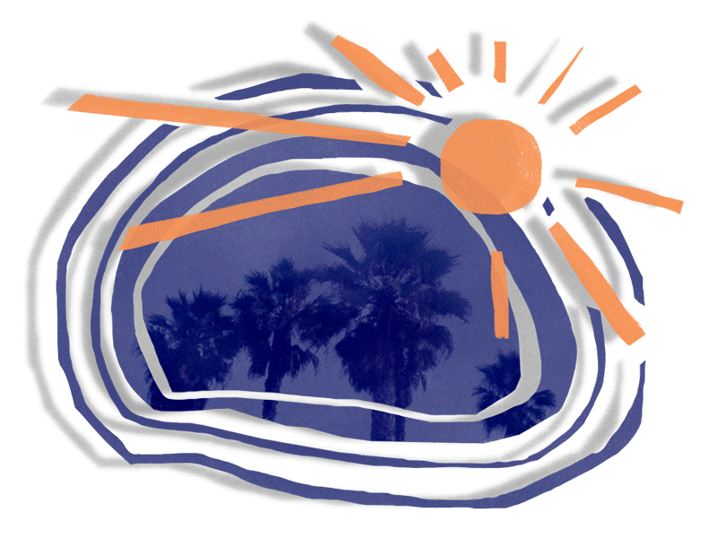 Palms animation gif illustration palms sun