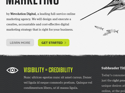 Landing Page Pt2 color texture typography