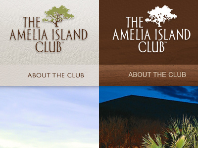 Amelia Island color elegant gill sans natural texture wood